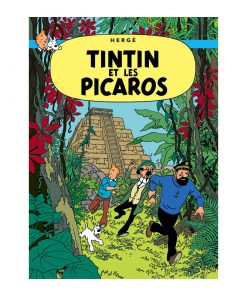 Picaros Cover Poster1